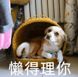 image5.GIF