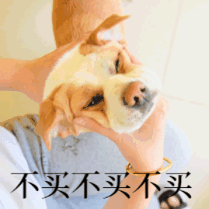 image6.GIF