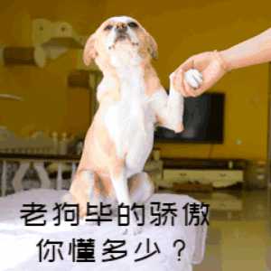 image7.GIF